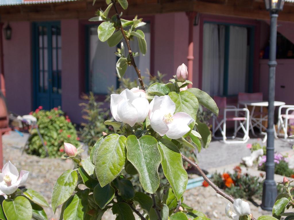 Posada Caracoles Puerto Pirámides Exterior foto