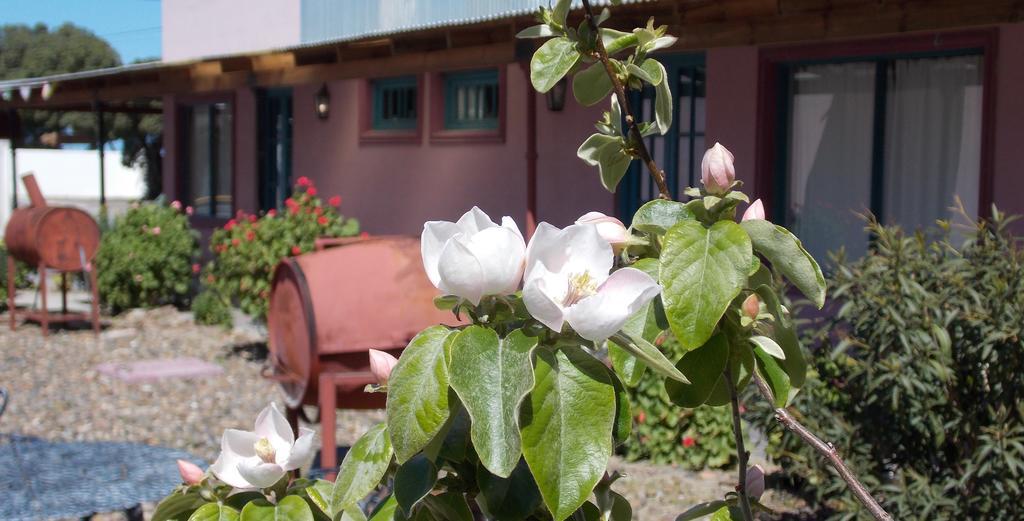 Posada Caracoles Puerto Pirámides Quarto foto